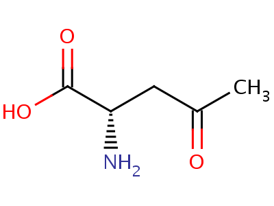 (2S)-2-amino-4-oxopentanoic acid Structure,4439-83-2Structure