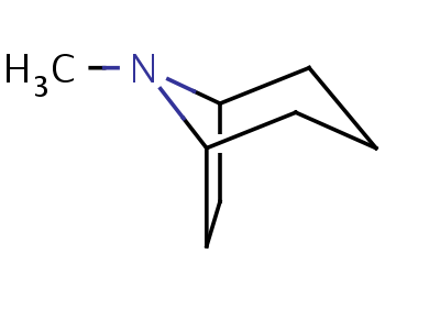 8-Methyl-8-azabicyclo[3.2.1]octane Structure,529-17-9Structure