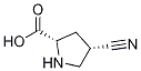 (2S,4s)-4-cyanopyrrolidine-2-carboxylicacid Structure,1001354-49-9Structure