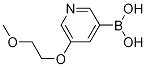 5-(2-Methoxyethoxy)pyridine-3-boronic acid Structure,1015229-31-8Structure