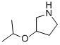 3-Isopropoxy-pyrrolidine Structure,1016167-98-8Structure