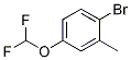 2-Bromo-5-difluoromethoxytoluene Structure,1021172-76-8Structure