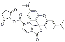 2-(6-Tetramethylrhodamine)carboxylic acid n-hydroxysuccinimide ester Structure,1027512-41-9Structure