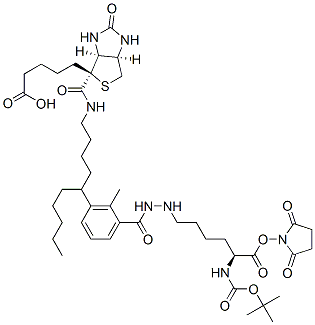 2,5-Dioxo-1-pyrrolidinyl n<sup>2</sup>-{[(2-methyl-2-propanyl)oxy]carbonyl}-n<sup>6</sup>-[6-({5-[(4s)-2-oxohexahydro-1h-thieno[3,4-d]imidazol-4-yl]pentanoyl}amino)hexanoyl]-l-lysinate Structure,102910-27-0Structure