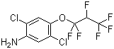 2,5-Dichloro-4-(1,1,2,3,3,3-hexafluoropropoxy)benzenamine Structure,103015-84-5Structure