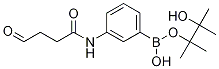 3-Succinamidophenylboronic acid, pinacol ester Structure,1030269-28-3Structure