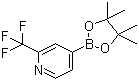 Pyridine, 4-(4,4,5,5-tetramethyl-1,3,2-dioxaborolan-2-yl)-2-(trifluoromethyl)- Structure,1036990-42-7Structure