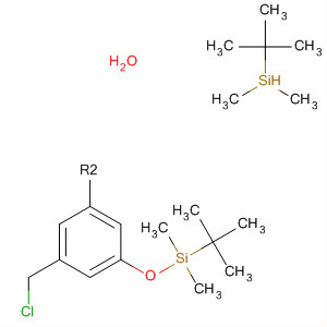 1-(Chloromethyl)-3,5-bis[[(1,1-dimethylethyl)dimethylsilyl]oxy]benzene Structure,103929-85-7Structure