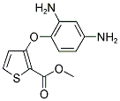 Methyl 3-(2,4-diaminophenoxy)-2-thiophenecarboxylate Structure,104636-77-3Structure