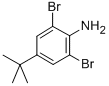 2,6-Dibromo-4-tert-butylaniline Structure,10546-67-5Structure