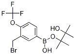 (3-Bromomethyl-4-trifluoromethoxyphenylboronic acid pinacol ester Structure,1073354-06-9Structure