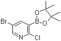 Pyridine, 5-bromo-2-chloro-3-(4,4,5,5-tetramethyl-1,3,2-dioxaborolan-2-yl)- Structure,1073354-79-6Structure