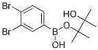 3,4-Dibromophenylboronic acid, pinacol ester Structure,1075719-78-6Structure