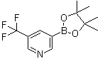 5-Trifluoromethylpyridine-3-boronic acid picol ester Structure,1084953-47-8Structure