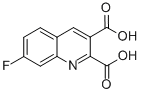 7-Fluoroquinoline-2,3-dicarboxylic acid Structure,110139-62-3Structure