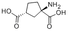 (1R,3R)-ACPD Structure,111900-33-5Structure