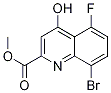 Methyl 8-bromo-5-fluoro-4-hydroxyquinoline-2-carboxylate Structure,1133115-48-6Structure