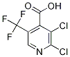 2,3-Dichloro-5-(trifluoromethyl)isonicotinic acid Structure,1135283-33-8Structure