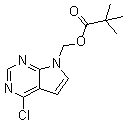 (4-Chloro-7h-pyrrolo[2,3-d]pyrimidin-7-yl)methyl pivalate Structure,1146629-75-5Structure