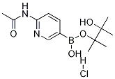 2-Acetamidopyridine-5-boronic acid, pinacol ester, HCl Structure,1150561-64-0Structure