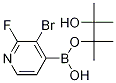 3-Bromo-2-fluoropyridine-4-boronic acid pinacol ester Structure,1150561-78-6Structure