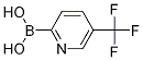 5-(Trifluoromethyl)pyridine-2-boronic acid Structure,1162257-58-0Structure