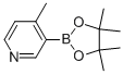 4-Methylpyridine-3-boronic acid pinacol ester Structure,1171891-31-8Structure