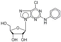 2-Phenylamino-6-chloropurine-9-beta-D-riboside Structure,117325-41-4Structure