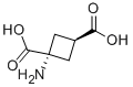 1-Aminocyclobutane-cis-1,3-dicarboxylic acid Structure,117488-23-0Structure