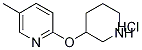 5-Methyl-2-(piperidin-3-yloxy)-pyridine hydrochloride Structure,1185308-63-7Structure