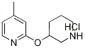 4-Methyl-2-(piperidin-3-yloxy)-pyridine hydrochloride Structure,1185310-94-4Structure