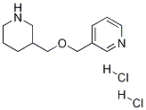 3-((Piperidin-3-ylmethoxy)methyl)pyridine dihydrochloride Structure,1185313-80-7Structure