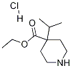 Ethyl 4-isopropyl-4-piperidinecarboxylate hydrochloride Structure,1186663-19-3Structure