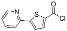 5-(2-Pyridinyl)-2-thiophenecarbonyl chloride Structure,119082-98-3Structure