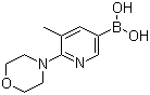 5-Methyl-6-morpholinopyridin-3-yl-3-boronic acid Structure,1191062-85-7Structure