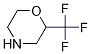 2-(Trifluoromethyl)morpholine Structure,1196532-95-2Structure