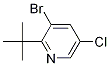 3-Bromo-2-tert-butyl-5-chloropyridine Structure,1211521-45-7Structure