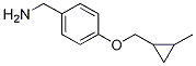 4-(2-Methyl-cyclopropylmethoxy)-benzylamine Structure,1211594-46-5Structure