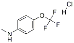 N-methyl-4-(trifluoromethoxy)aniline hcl Structure,1215206-28-2Structure