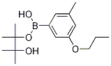 3-Methyl-5-propoxyphenylboronic acid pinacol ester Structure,1218789-73-1Structure