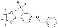 4-Benzyloxy-2-trifluoromethylphenylboronic acid pinacol ester Structure,1218790-07-8Structure