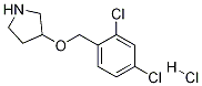 3-((2,4-Dichlorobenzyl)oxy)pyrrolidine hydrochloride Structure,1220033-11-3Structure