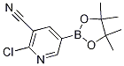 2-Chloro-5-(4,4,5,5-tetramethyl-1,3,2-dioxaborolan-2-yl)nicotinonitrile Structure,1220220-02-9Structure