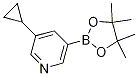 3-Cyclopropyl-5-(4,4,5,5-tetramethyl-1,3,2-dioxaborolan-2-yl)pyridine Structure,1220696-43-4Structure