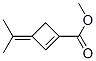 1-Cyclobutene-1-carboxylicacid,3-(1-methylethylidene)-,methylester(9ci) Structure,122444-78-4Structure