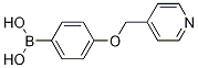 4-(Pyridin-4-ylmethoxy)phenylboronic acid Structure,1228181-39-2Structure