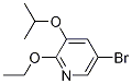 5-Bromo-2-ethoxy-3-isopropoxypyridine Structure,1241752-43-1Structure