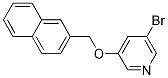 3-((Naphthalen-6-yl)methoxy)-5-bromopyridine Structure,1245644-34-1Structure