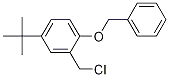 1-(Benzyloxy)-4-(tert-butyl)-2-(chloromethyl)benzene Structure,1246213-43-3Structure