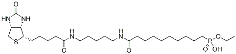 10-Ethoxyphosphinyl-n-biotinamidopentyldecanamide Structure,1246814-63-0Structure